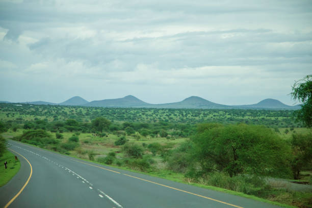 istock African road landscape with blue mountains in the background. 1491567154