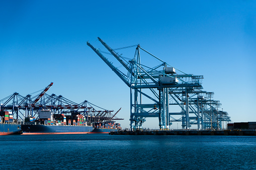 A fleet of colossal cargo ships fills the port of Los Angeles, their massive hulls stretching toward the sky. Laden with containers, they stand as symbols of global trade and interconnected economies.