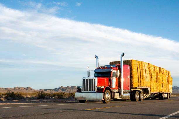 istock At sunset, a massive semi truck cruised through the vast Nevada desert. Its powerful engine roared as it traversed the open road, with majestic mountains serving as a stunning backdrop to this solitary journey. 1491568467