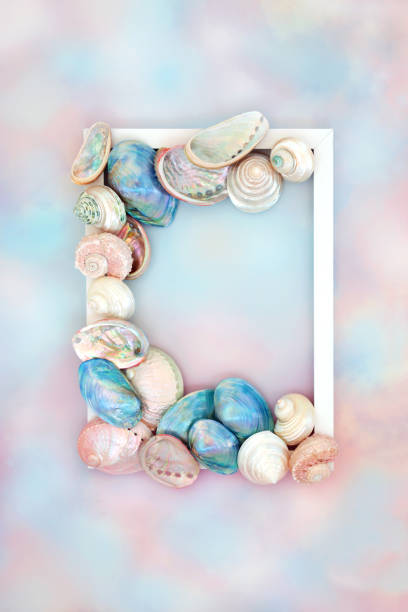 istock Mother of Pearl Sea Shell Background Frame 1491569729
