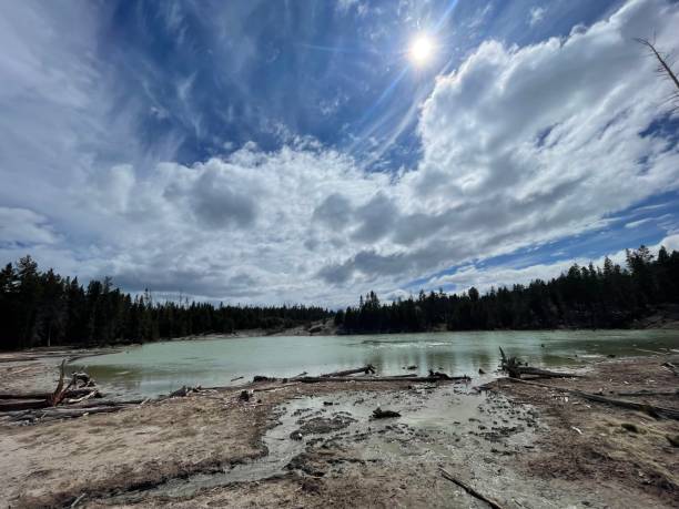 Sour Lake in Yellowstone Spring shot of sour lake at mud volcano in Yellowstone mud volcano yellowstone stock pictures, royalty-free photos & images