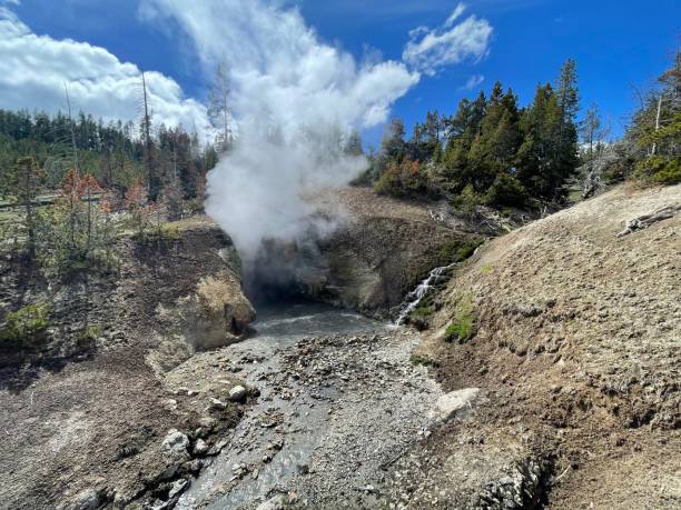 Dragon’s Mouth Spring in Yellowstone Spring shot of Dragon’s Mouth Spring at mud volcano in Yellowstone mud volcano yellowstone stock pictures, royalty-free photos & images