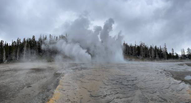 Great Fountain Geyser in Yellowstone Great fountain geyser erupting mid morning Yellowstone National Park mud volcano yellowstone stock pictures, royalty-free photos & images
