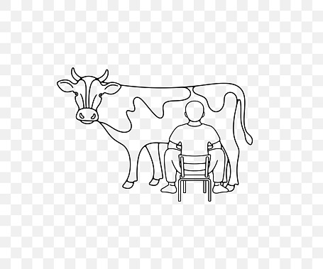 Male farmer milking a cow, agriculture and farm, linear graphic design. Barnyard, stockyard, milk farm and ranch, vector design and illustration