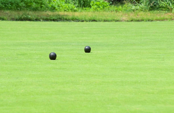 istock a summer lawn bowling green with two bowls 1491573282