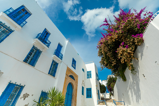 White and blue style town Sidi Bou Said