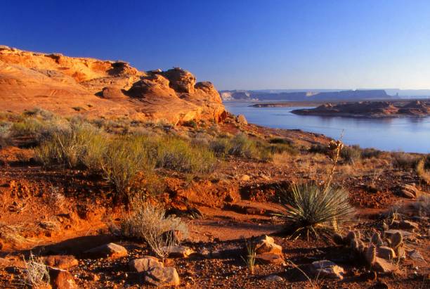 istock Shoreline, red rock and lake 1491574298