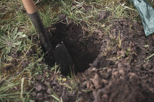 istock Dig a hole in the ground with a shovel 1491577646