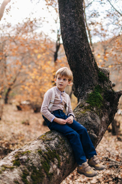 istock Little boy sitting on a tree in autumn forest 1491577696