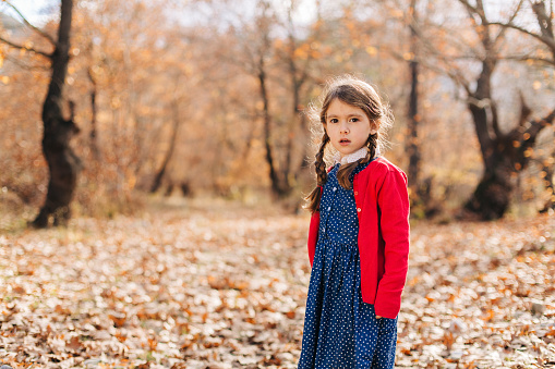 Little girl with red dress standing in forest full with dry maple leafs