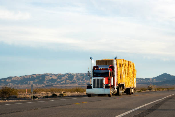 istock At sunset, a mighty semi truck rumbled through the Nevada desert, its powerful engine echoing through the vast expanse. The silhouette of mountains stood stoically in the background, witnessing the truck's journey. 1491578516