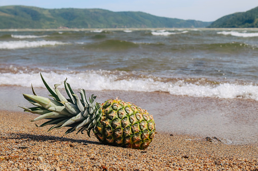 Pineapple in a decoration with a sun hat on the beach. Summer idyllic atmosphere with good vibes. Landed on sand beach with shells and beautiful sea waves in the background.