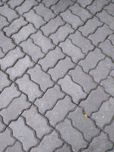 istock Pattern of paving blocks in a city square 1491582396