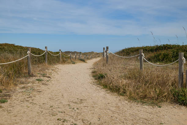 istock Sandy path to the sea with poles and beach grass. 1491587776