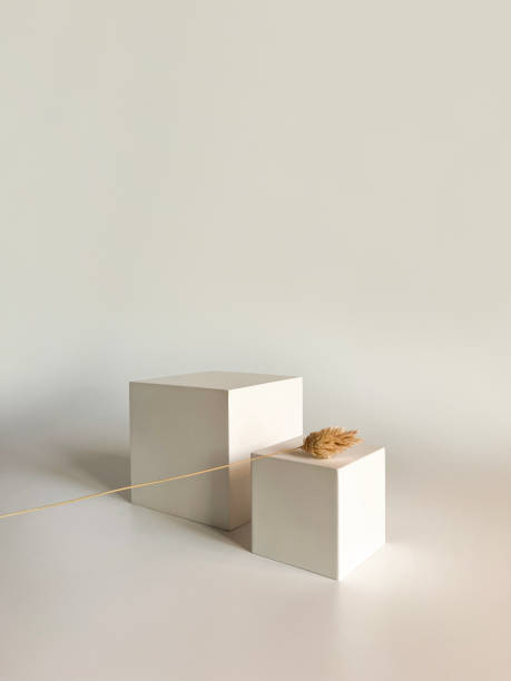 istock Abstract white 3D room with realistic white pedestal podium set and shadow overlay. Minimal scene for product display presentation. Geometric platform with dry flowers. Stage for showcase. 1491592958