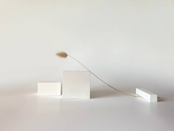 Abstract white 3D room with realistic white pedestal podium set and shadow overlay. Minimal scene for product display presentation. Geometric platform with dry flowers.