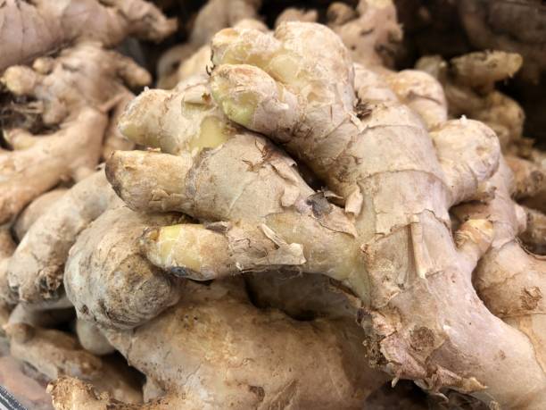 radice di zenzero intera su primo piano - ginger root ingredient nature foto e immagini stock