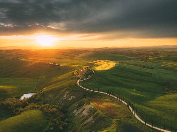 istock Tuscan cypress road and rolling landscape 1491600823
