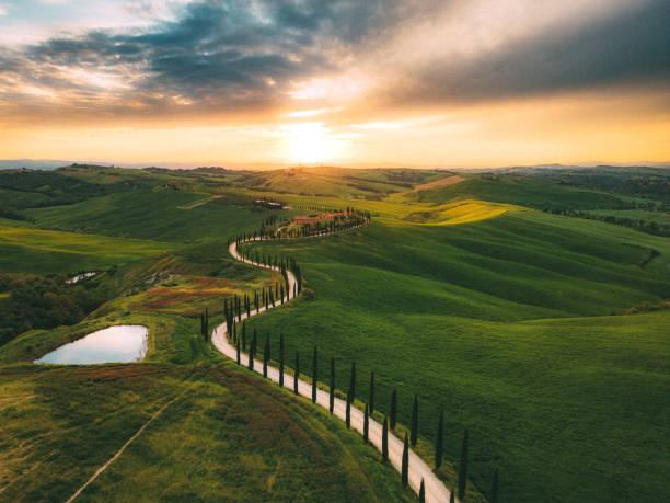 istock Tuscan cypress road and rolling landscape 1491600826