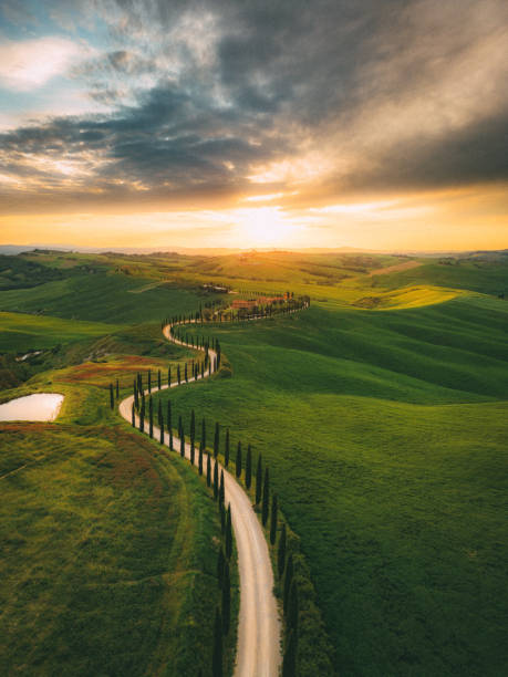 istock Tuscan cypress road and rolling landscape 1491600836