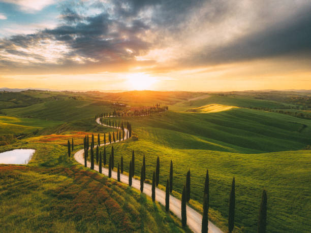 istock Cypress road and rolling landscape in Tuscany 1491600841