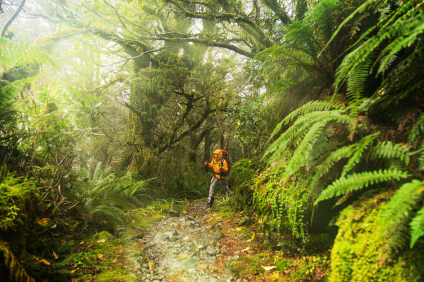 istock Life is better in hiking boots. 1491602623