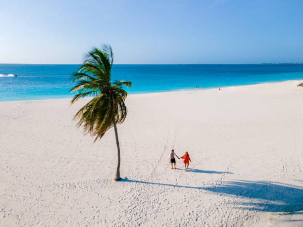istock Eagle Beach Aruba, Palm Trees on the shoreline of Eagle Beach in Aruba, 1491609383
