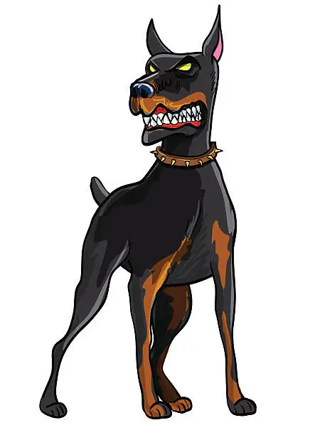 Vector illustration of Doberman Pinscher Illustration