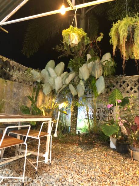 istock Portrait of Cafe Atmosphere 1491611637
