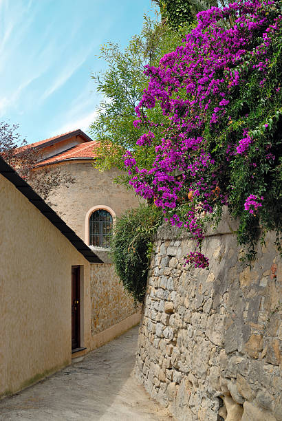 istock Street in old medieval town 149161197