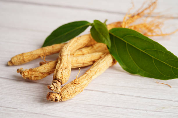 istock Ginseng roots and green leaf, healthy food. 1491612428