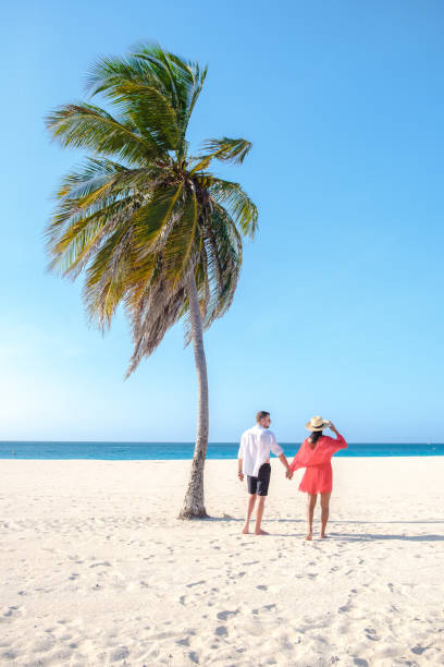 istock Eagle Beach Aruba, Palm Trees on the shoreline of Eagle Beach in Aruba, 1491618030