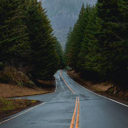 A foggy and wet forest road image. Shot in the Columbia River Gorge part of Oregon.