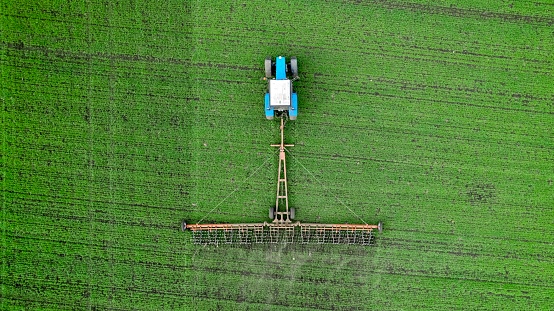 Soil loosening in a field with agricultural crops, aerial shot. The tractor processes the soil with green crops of young wheat, drone view. Farming concept
