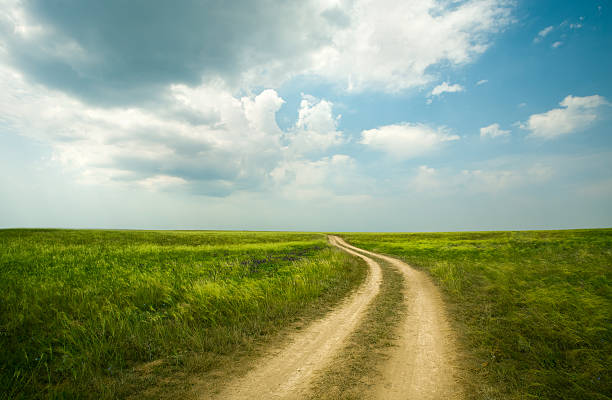 istock Field road through the green meadow 149162395