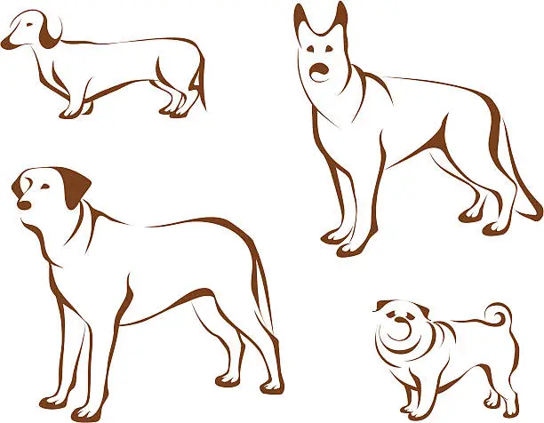 Vector illustration of Dogs