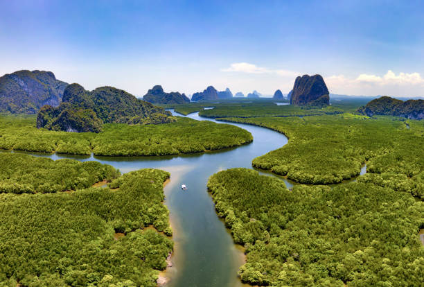 Drone view of the mangrove forests and towering limestone pinnacles and karst landscape of Phangnga Bay, Thailand Drone view of the mangrove forests and towering limestone pinnacles and karst landscape of Phangnga Bay, Thailand phang nga bay stock pictures, royalty-free photos & images