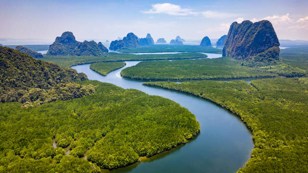 istock Aerial view of a huge mangrove forest and towering limestone pinnacles (Phangnga Bay, Thailand) 1491627921
