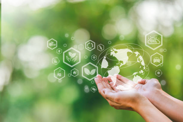 istock Environment Earth Day hands holding earth  environmentally sustainable Save Earth.  the Environment World Earth Day concept 1491628756