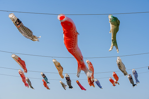 Carp streamers dancing in the wind, Children's Day, Japan
