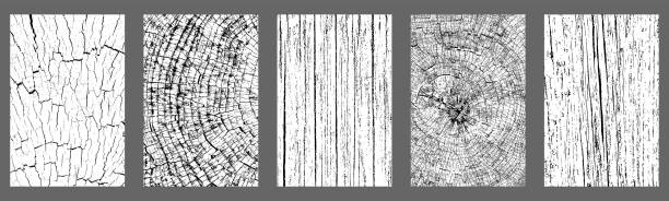Set of distressed wood texture Set of distressed wood texture. Black grainy texture on white background. Dust overlay textured. Grain noise particles. Rusted white effect. Grunge design elements. Vector illustration, EPS 10. dirty wood stock illustrations