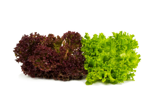 Fresh red and green lettuce