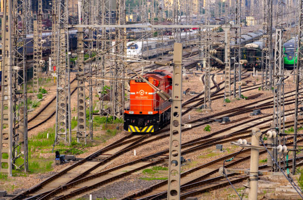 Photograph of a red freight trailer on a cargo train car moving along railway tracks bordered by dense vegetation and crisscrossed by overhead electric wires. Captures multimodal transportation conceptsrail freight logistics, industrial supply chain operations and land transport infrastructureset against a suburban backdrop that contrasts engineered transport systems with natural surroundings. Suitable for editorial or commercial use in logistics and transport contexts.