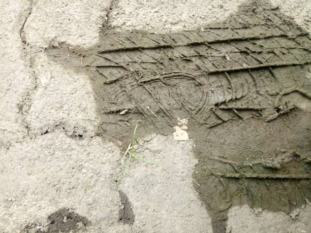 Traces of car tires imprinted in the mud A photo of a Traces of car tires imprinted in the mud scuff marks photos stock pictures, royalty-free photos & images