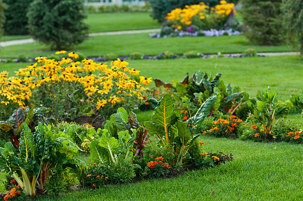 istock Beautiful garden with leafy vegetables and bright colored flowers 149164111