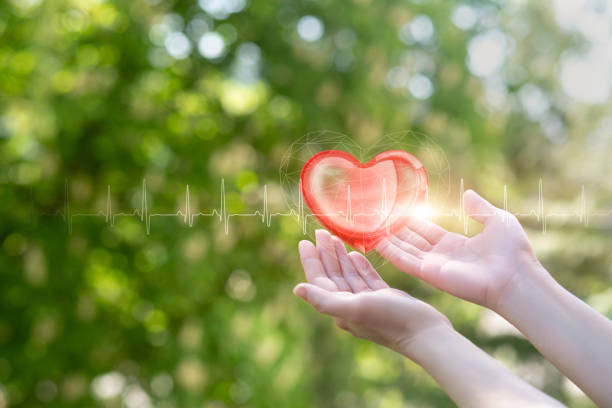 istock Support protection treatment diagnosis of heart disease. 1491641429