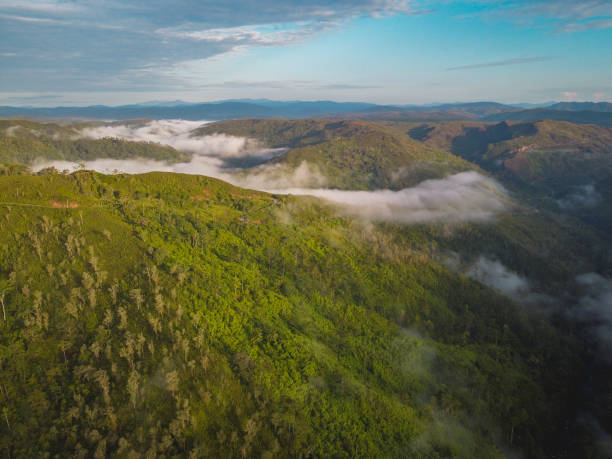 istock Beautiful Hills in Buru Island, Maluku 1491643089