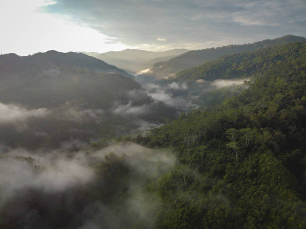 istock Beautiful Hills in Buru Island, Maluku 1491643091