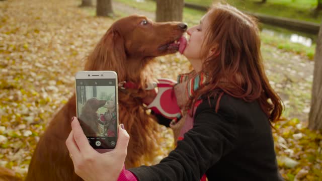 Cheerful happy girl makes selfie on smartphone with her dog setter in autumn park