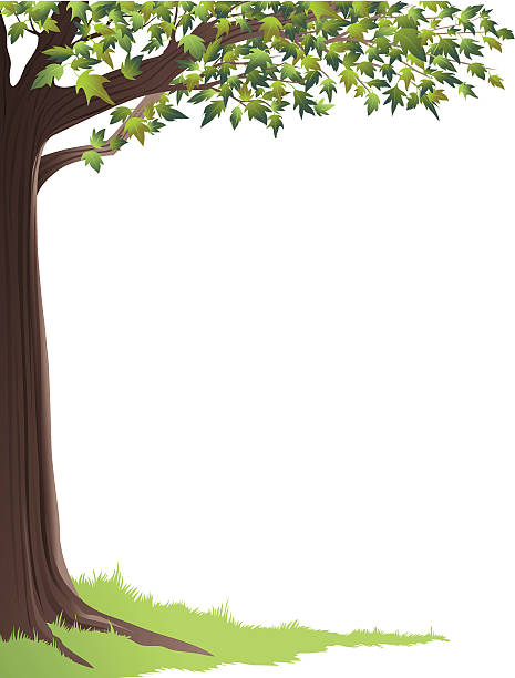 Green Tree Frame vector art illustration